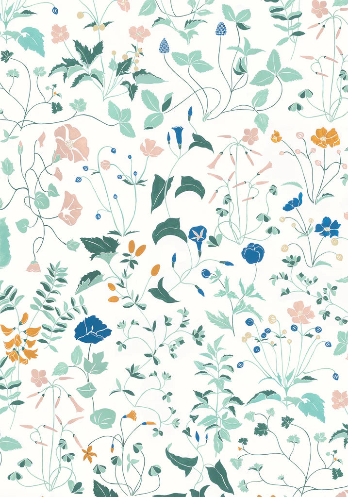 Ambre, wallpaper