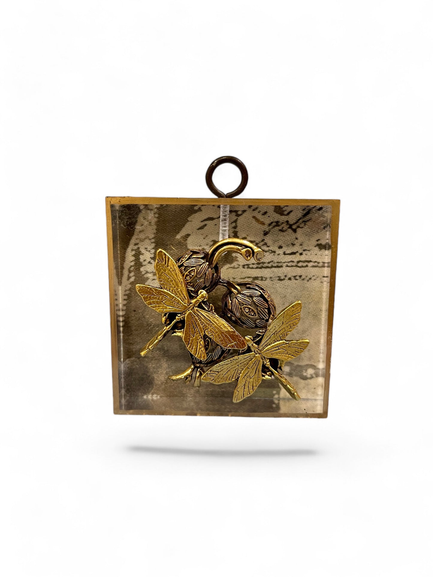 Ornamental Bee | Butterflies and Insects