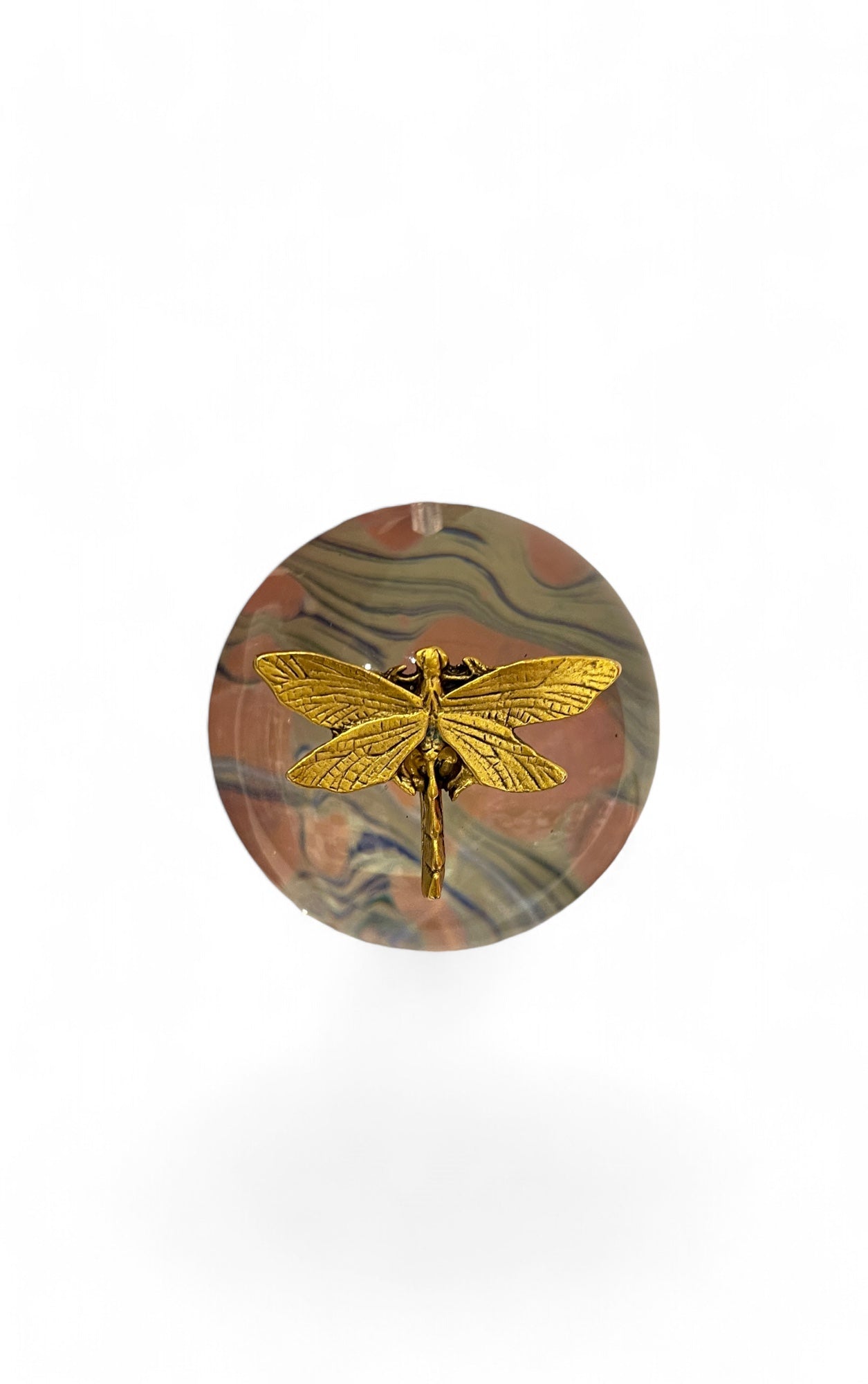 Ornamental Bee | Butterflies and Insects