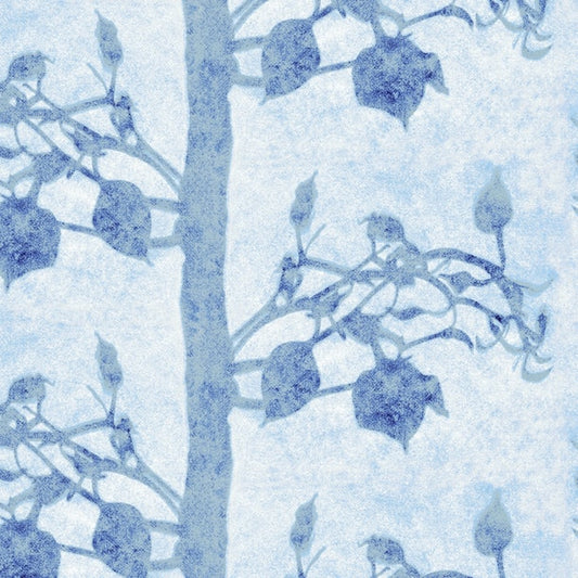 Forest, Frost
